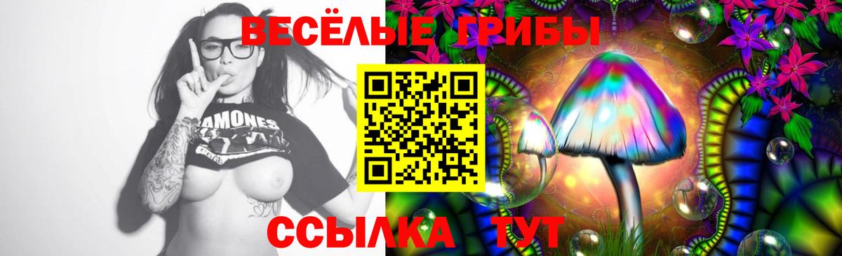 Галлюциногенные грибы Psilocybe  Галлюциногенные грибы прущие грибы  что такое наркотик  Туймазы  Вход с VPN 